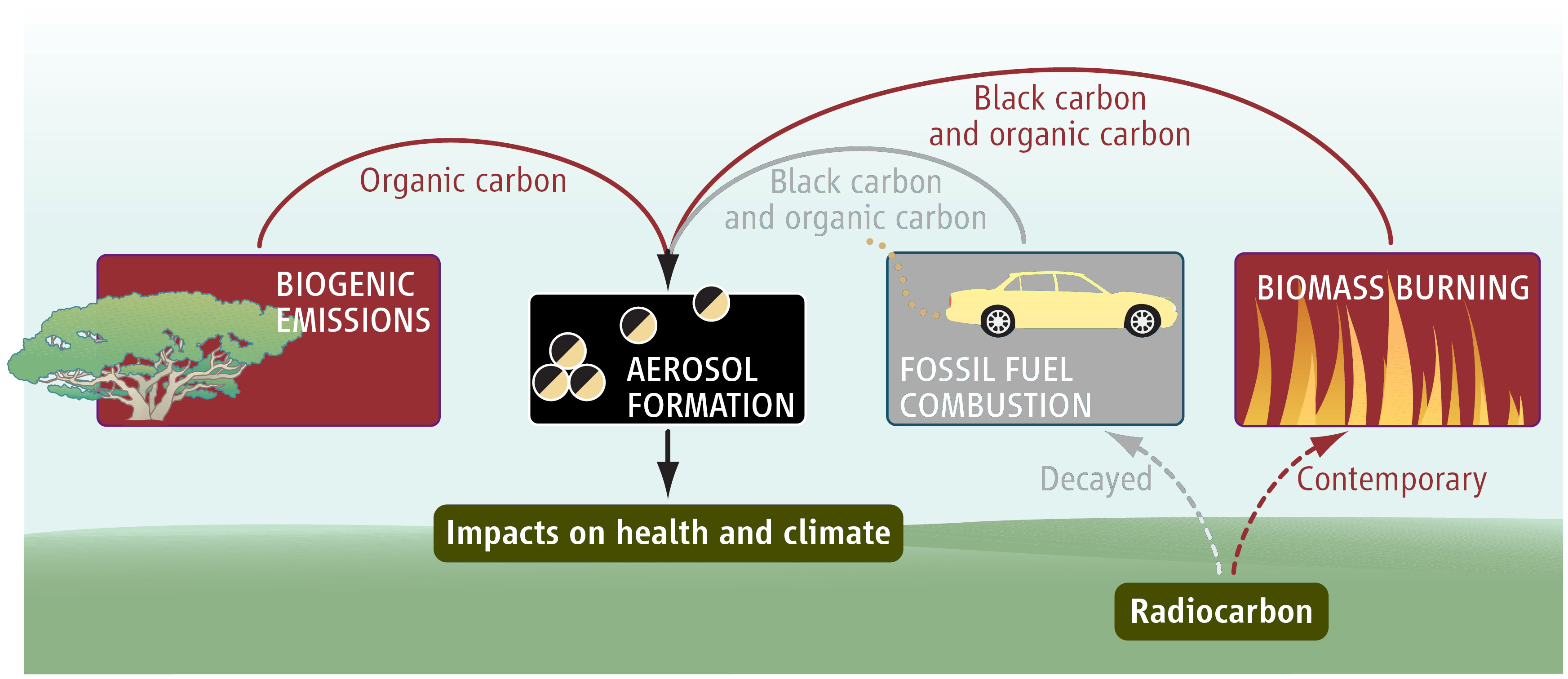 Aerosol sources